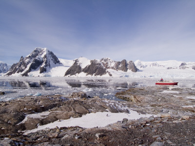 Peterman Island, Antarctica by Natalie Tepper Pricing Limited Edition Print image