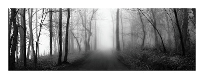 Woodland Walk by Erin Clark Pricing Limited Edition Print image
