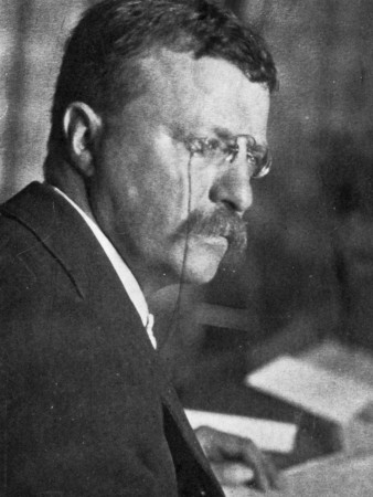Theodore Roosevelt by Arthur Hewitt Pricing Limited Edition Print image