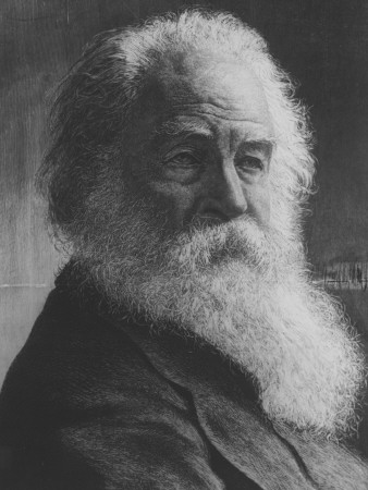 Walt Whitman by Edward Gooch Pricing Limited Edition Print image