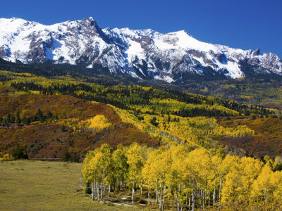Sneffells Range With Autumn Aspens, Colorado, Usa by Terry Eggers Pricing Limited Edition Print image