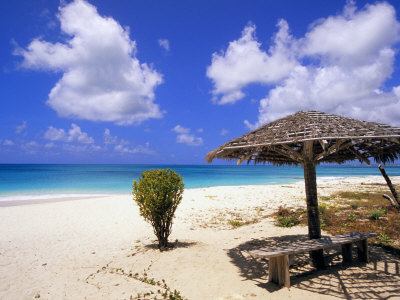 Coco Point Beach, Barbuda, Antigua by Michael Defreitas Pricing Limited Edition Print image