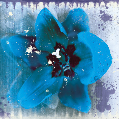 Tulip Fresco (Blue) by Erin Clark Pricing Limited Edition Print image