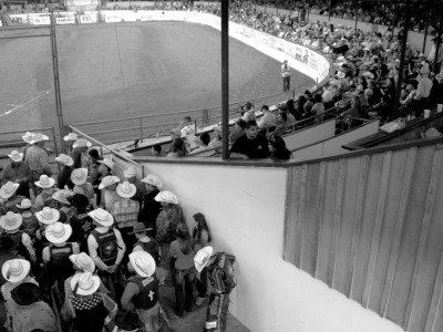 Two Crowds, Santa Barbara Rodeo by Eloise Patrick Pricing Limited Edition Print image