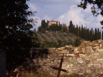 Cemetery In Chiant by Eloise Patrick Pricing Limited Edition Print image