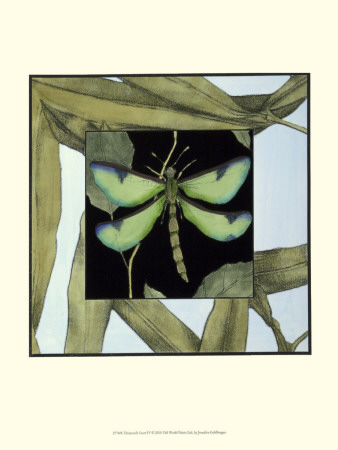 Dragonfly Inset Iv by Jennifer Goldberger Pricing Limited Edition Print image