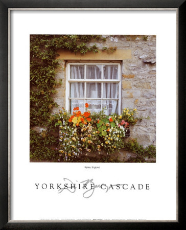 Yorkshire Cascade by Dennis Barloga Pricing Limited Edition Print image