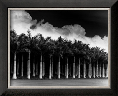 White Palms, Costa Rica by Monte Nagler Pricing Limited Edition Print image