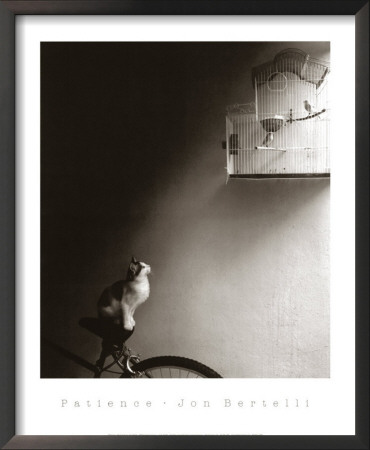 Patience by Jon Bertelli Pricing Limited Edition Print image