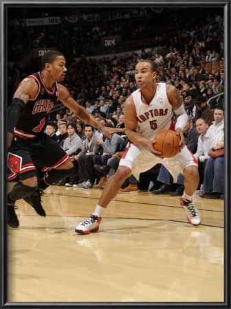 Chicago Bulls V Toronto Raptors: Derrick Rose And Jerryd Bayless by Ron Turenne Pricing Limited Edition Print image