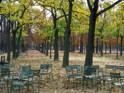 Trees And Empty Chairs In Autumn In The Luxembourg Gardens, Paris by Stephen Sharnoff Pricing Limited Edition Print image
