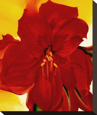 Red Amaryllis, 1937 by Georgia O'keeffe Pricing Limited Edition Print image