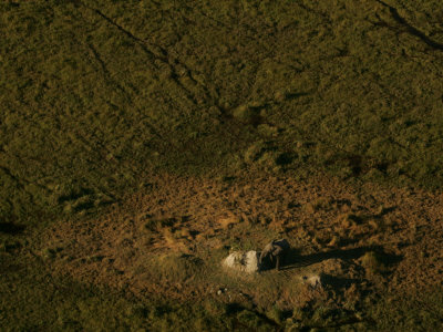 Aerial View Of African Elephant (Loxodonta Africana) by Beverly Joubert Pricing Limited Edition Print image