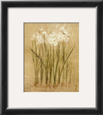 Narcissus by Cheri Blum Pricing Limited Edition Print image