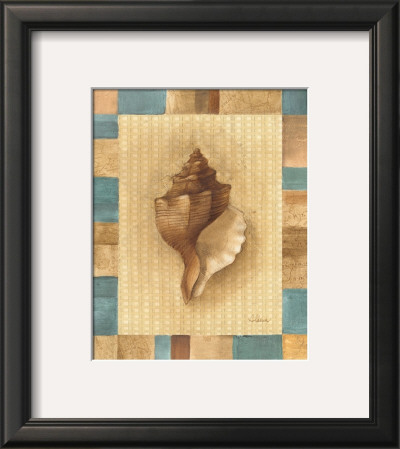 Seashell Iv by Albena Hristova Pricing Limited Edition Print image