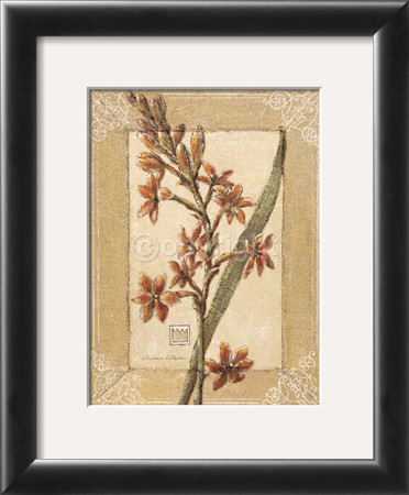 Polianthes by Vivien White Pricing Limited Edition Print image