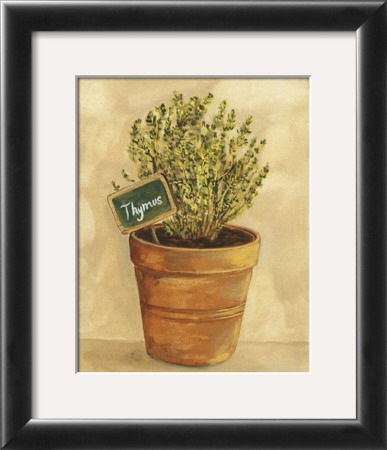 Thymus by Mar Alonso Pricing Limited Edition Print image