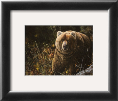 Brown Bear In Woods by Michelle Mara Pricing Limited Edition Print image