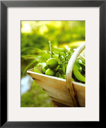 Lime by James Carrier Pricing Limited Edition Print image