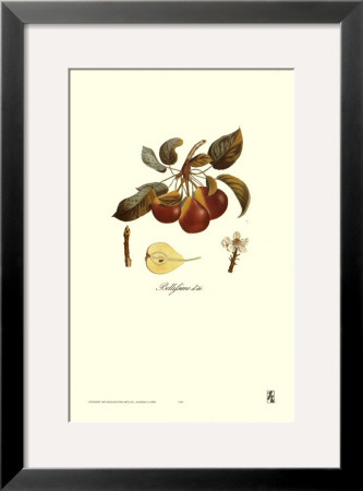Pear, Bellifsime D'ete by Francois Langlois Pricing Limited Edition Print image