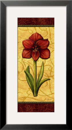 Red Passion Amaryllis by Charlene Audrey Pricing Limited Edition Print image
