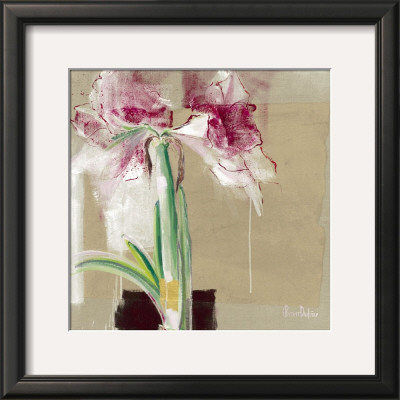 Amaryllis Tachete by C. Bernarduchene Pricing Limited Edition Print image