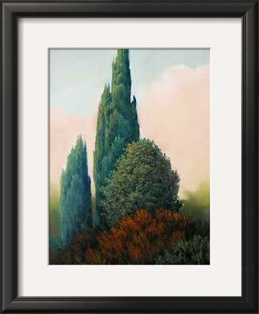 Tuscan Trees I by Alan Stephenson Pricing Limited Edition Print image