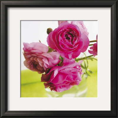 Reunoncules Roses by Amelie Vuillon Pricing Limited Edition Print image
