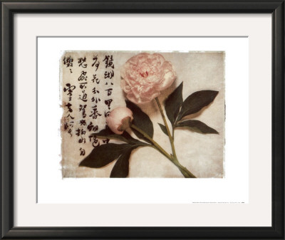 Oriental Peony by Julie Nightingale Pricing Limited Edition Print image