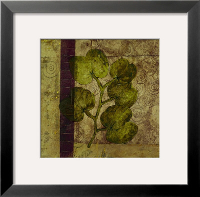 Nature Study Iv by John Kime Pricing Limited Edition Print image