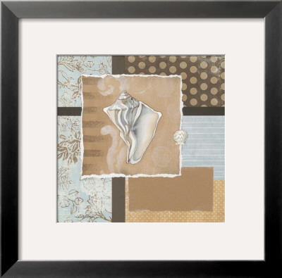 Shell Collage Iii by Carol Robinson Pricing Limited Edition Print image