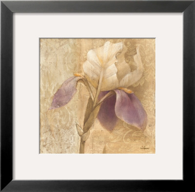 Brocade Iris by Albena Hristova Pricing Limited Edition Print image