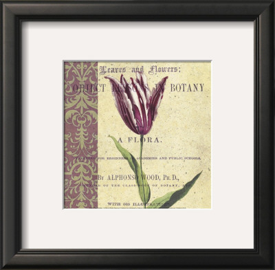 Tulip by Paula Scaletta Pricing Limited Edition Print image