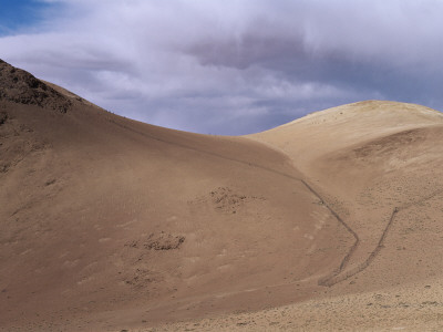 Funnel Fences For Catching Vicuna For Wool, San Antonio Community Project, Potosi, Sw Bolivia by Pete Oxford Pricing Limited Edition Print image