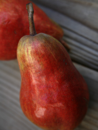 Red Ripe Pear Ii by Nicole Katano Pricing Limited Edition Print image