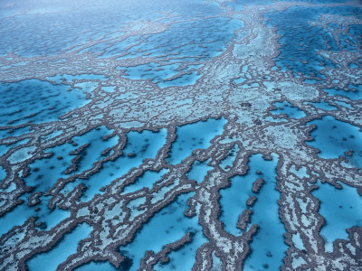 Aerial View Of Great Barrier Reef, Queensland, Australia by Jurgen Freund Pricing Limited Edition Print image