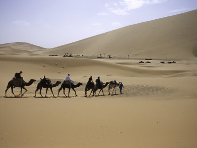 Camels In Desert, Morocco by Michael Brown Pricing Limited Edition Print image