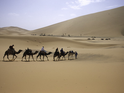 Camels In Desert, Morocco by Michael Brown Pricing Limited Edition Print image