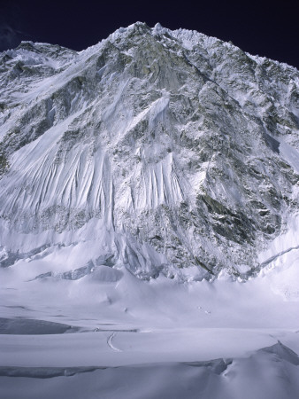 Western Comb, Nepal by Michael Brown Pricing Limited Edition Print image