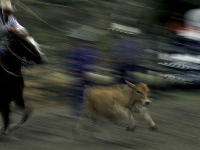 Horse Rider, Usa by Michael Brown Pricing Limited Edition Print image