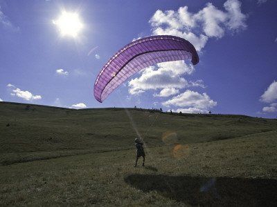 Paraglider On Field, Usa by Michael Brown Pricing Limited Edition Print image