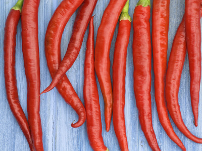 Red Chilli Peppers Chillies Freshly Harvested On Pale Blue Background by Gary Smith Pricing Limited Edition Print image
