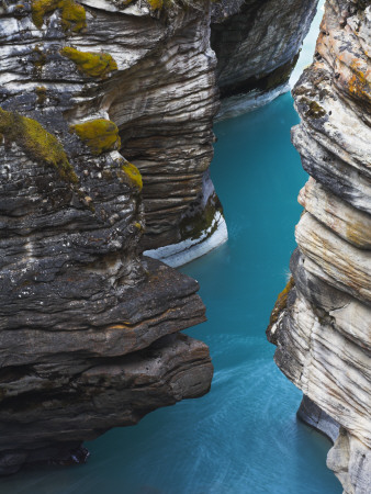 Looking Down Narrow Gorge At Athabasca Canyon, Jasper National Park, Alberta, Canada by Adam Burton Pricing Limited Edition Print image