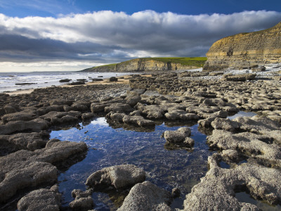Rock Pools On Ledges At Dunraven Bay, Southerndown, Wales by Adam Burton Pricing Limited Edition Print image