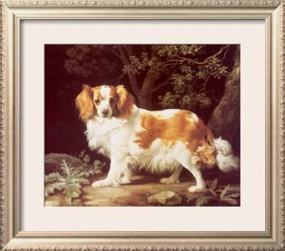 King Charles Spaniel by George Stubbs Pricing Limited Edition Print image