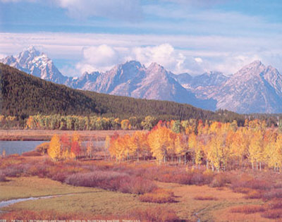 Fall Tetons by Leland Howard Pricing Limited Edition Print image