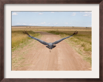 Karibu Over A Dirt Road, Masai Mara Wildlife Reserve, Kenya by Vadim Ghirda Pricing Limited Edition Print image