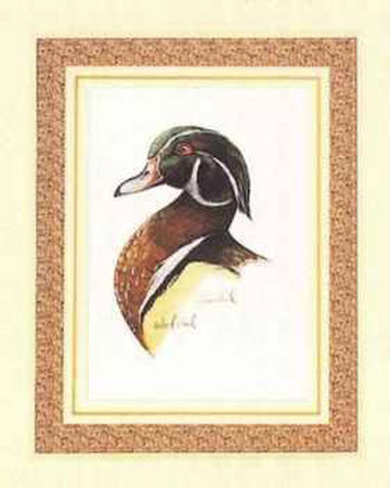 Wood Duck by T. Wood Pricing Limited Edition Print image