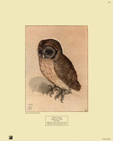 The Little Owl, 1508 by Albrecht Durer Pricing Limited Edition Print image
