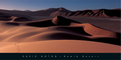 Namib Desert, Namibia by David Noton Pricing Limited Edition Print image